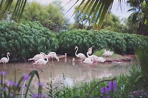 Mount Etjo Safari Lodge