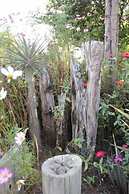 Glenda s Guest Suites