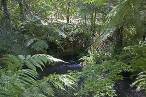 Lotus Lodges