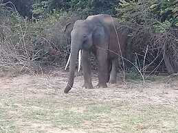 Le Green Udawalawe Resort