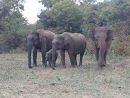 Le Green Udawalawe Resort