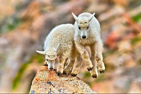 Mein Haus Bed & Breakfast