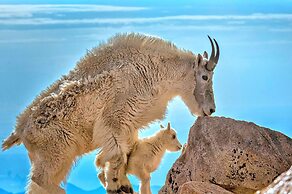 Mein Haus Bed & Breakfast