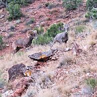 Mein Haus Bed & Breakfast