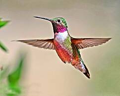 Mein Haus Bed & Breakfast