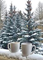 Mein Haus Bed & Breakfast