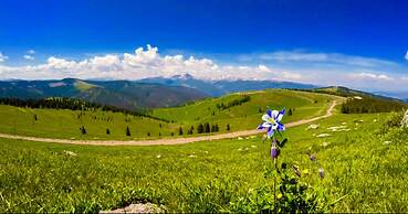 Mein Haus Bed & Breakfast