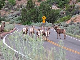 Mein Haus Bed & Breakfast