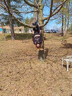 The Pinewood - Adult Getaway by the Lake