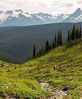 Eleven Revelstoke Lodge