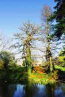 Wimbledon Holiday Lets