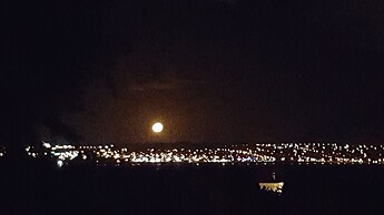 Belle vue Boutique Lodge