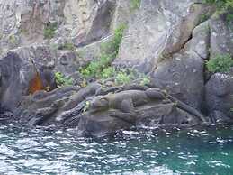 Belle vue Boutique Lodge