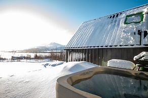 Viking Cottages and Apartments