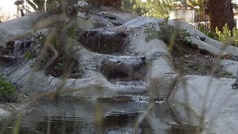 Pefka Studios & Apartments