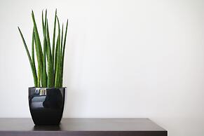 Quinta d'Anta - Hotel Rural