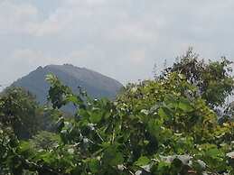 Sigiri Wilderness Resort