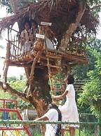 Sigiri Wilderness Resort