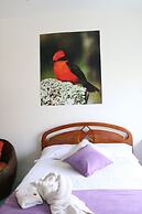 Hostal Costa del Pacifico