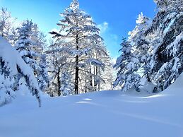 Palcall Tsumagoi Resort