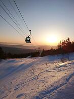 Palcall Tsumagoi Resort