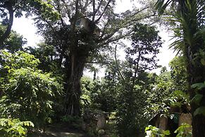 Tanna Lava View Bungalows