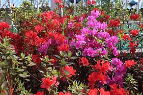 WITH U Hotel & Guesthouse