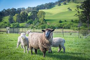 Ashdowns of Dover B&B