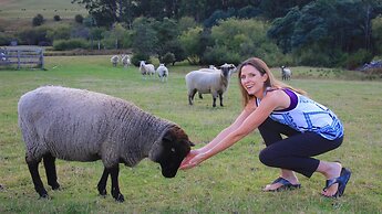 Ashdowns of Dover B&B