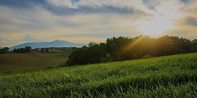 Hotel Residence Eden