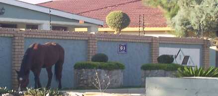 Berry Bliss Guest House