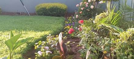 Berry Bliss Guest House