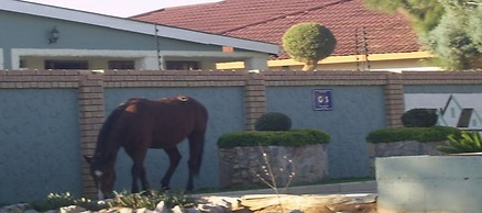 Berry Bliss Guest House