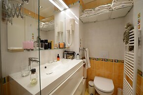 Les Patios du Marais