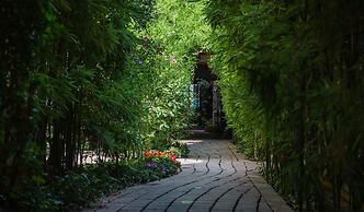 Les Patios du Marais