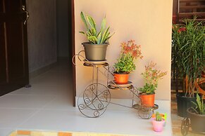 Cabinas Mansión Tropical Quepos