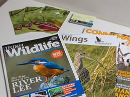 The Beach Day's Bar & B&B