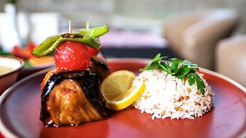 Istanbul Medikal Termal Hotel