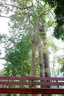 Mok Far Mont Ngo Resort