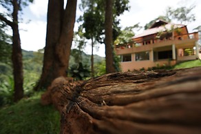 Mok Far Mont Ngo Resort