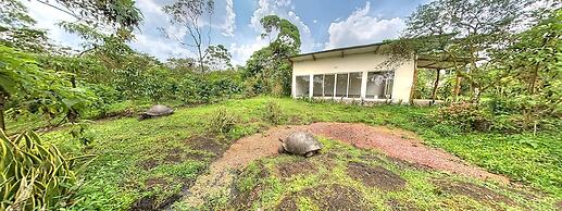 Semilla Verde Boutique Hotel