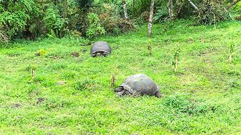 Semilla Verde Boutique Hotel