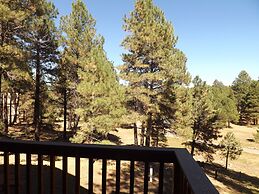 Arizona Mountain Inn and Cabins