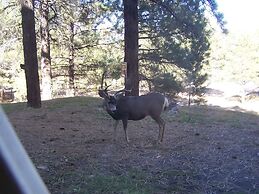 Arizona Mountain Inn and Cabins