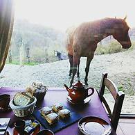 Casería La Infiesta