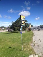 Moose Motel