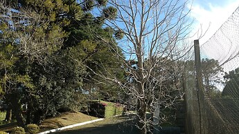 Laje de Pedra Mountain Village Prime