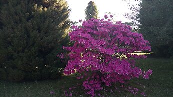Laje de Pedra Mountain Village Prime