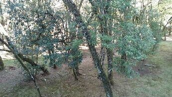 Laje de Pedra Mountain Village Prime