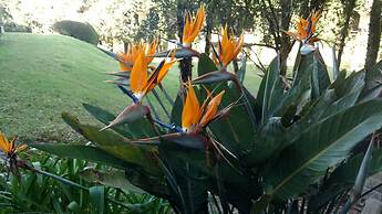 Laje de Pedra Mountain Village Prime